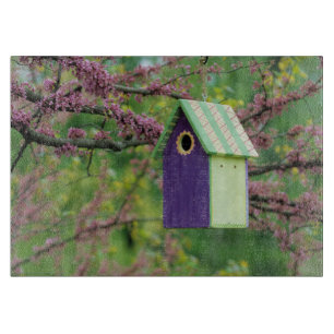 Tabla De Cortar Casa de Pájaros en un Árbol Redbud