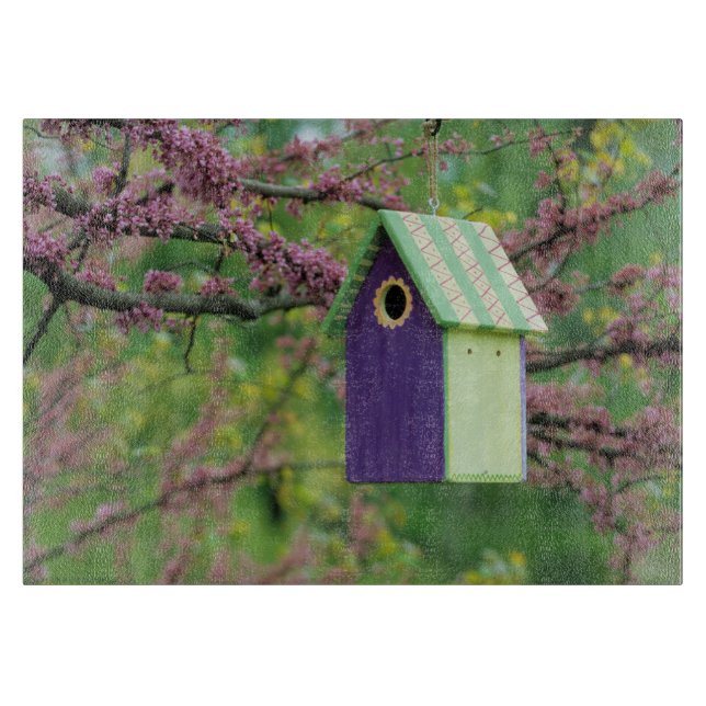 Tabla De Cortar Casa de Pájaros en un Árbol Redbud (Anverso)