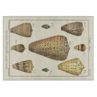 Cáscaras de cono de época