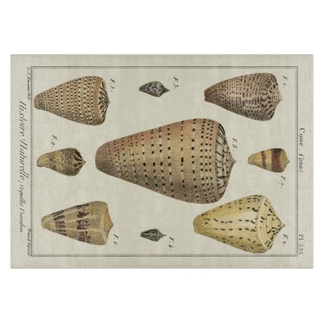 Tabla De Cortar Cáscaras de cono de época (Anverso)