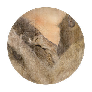 Tabla De Cortar Cebollos