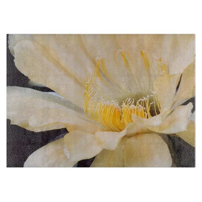 Tabla De Cortar Charlemagne Echinopsis en flor (Anverso)