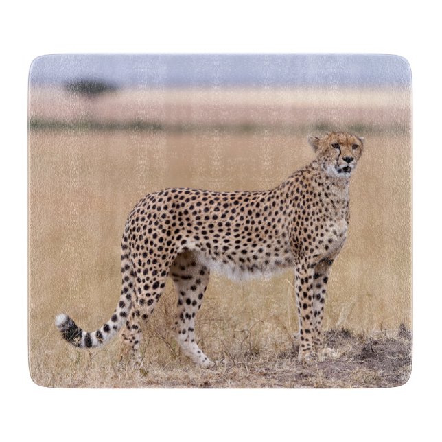 Tabla De Cortar Cheetah (Anverso)