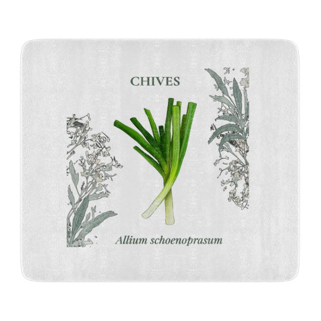 Tabla De Cortar Ciboulette — Allium schoenoprasum (Anverso)