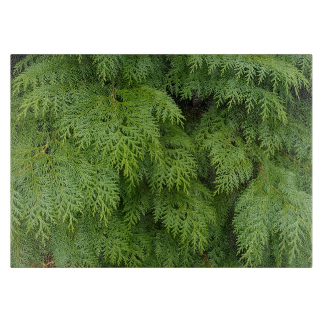 Tabla De Cortar Cipras (Anverso)