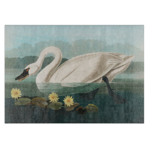 Tabla De Cortar cisnes de agua blanca de cisne audubon