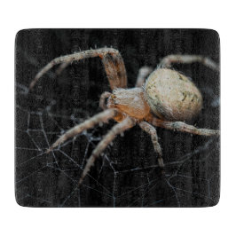Tabla De Cortar Close-Wonder: La araña de los jardines europeos