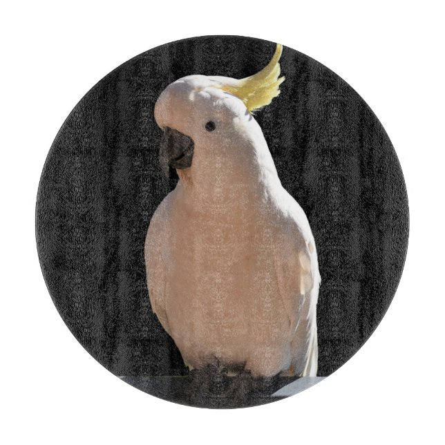 Tabla De Cortar Cockatoo en la cafetería Sundial Apartments (Anverso)