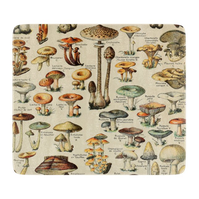 Tabla De Cortar Colección de hongos    (Anverso)