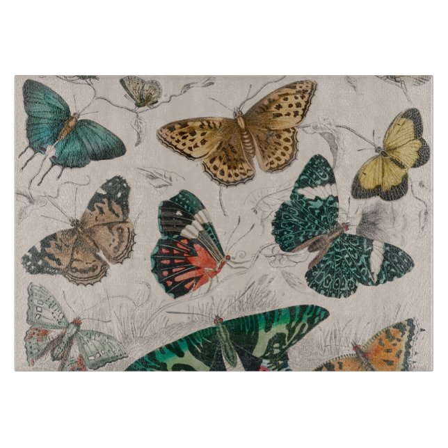 Tabla De Cortar Colección de mariposa Mariposas antiguas (Anverso)