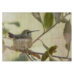 Tabla De Cortar Colibrí hembra en su nido