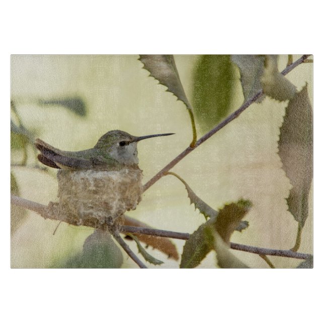 Tabla De Cortar Colibrí hembra en su nido (Anverso)