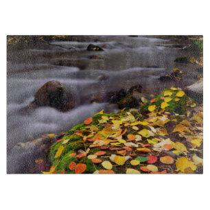 Tabla De Cortar Colores de otoño a lo largo de McGee Creek