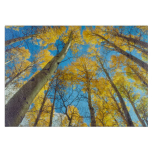 Tabla De Cortar Colores de otoño de árboles de Aspen 2