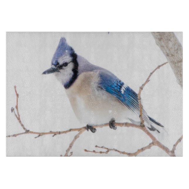 Tabla De Cortar Condado de Wichita, Texas. Blue Jay (Anverso)