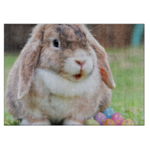 Tabla De Cortar Conejito de pascua
