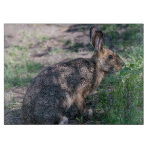Tabla De Cortar Conejo marrón, descansando en la naturaleza