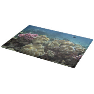 Tabla De Cortar Coral, arrecife de Agincourt, Gran Barrera de Cora