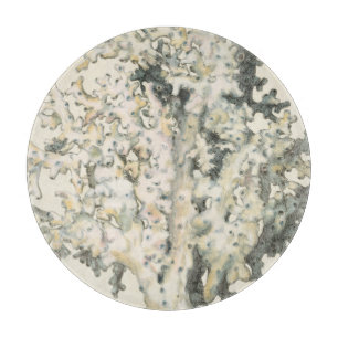 Tabla De Cortar Coral de color de agua antiguo