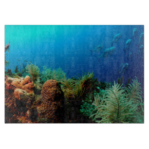 Tabla De Cortar Coral Reef, Parque Nacional de Tortugas Secas, Flo