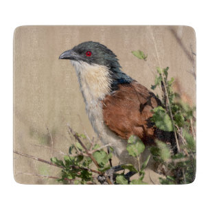 Tabla De Cortar Coucal de Burchell