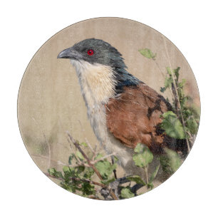 Tabla De Cortar Coucal de Burchell