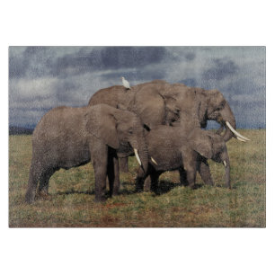 Tabla De Cortar Cría de elefante africano con familia
