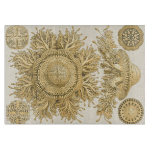 Tabla De Cortar Criaturas de oro del mar