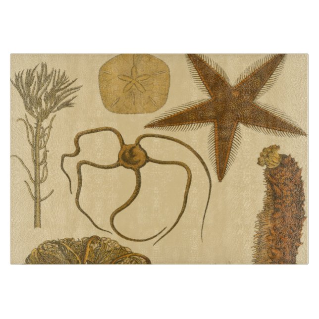 Tabla De Cortar Criaturas subacuáticas del mar (Anverso)