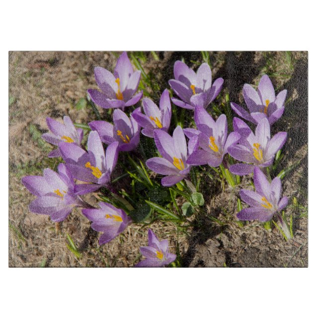 Tabla De Cortar Crocus primaverales lindos (Anverso)