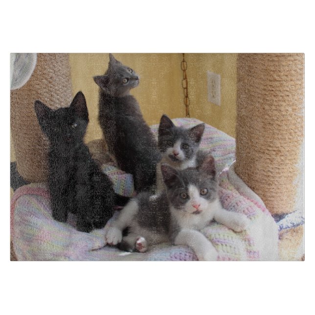 Tabla De Cortar Cute Kittens Cutting Board (Anverso)
