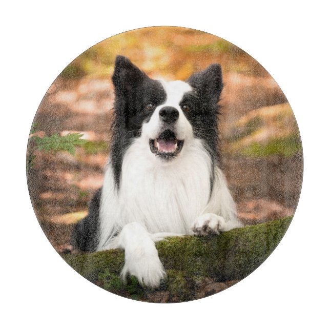 Tabla De Cortar Cutest Baby Animals | Black & White Border Collie (Anverso)