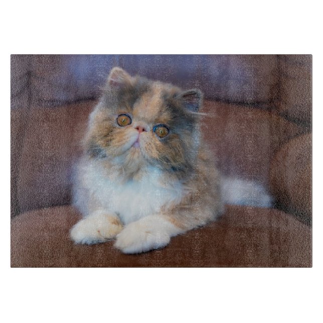 Tabla De Cortar Cutest Baby Animals | Calico Persian Kitten (Anverso)