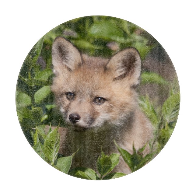 Tabla De Cortar Cutest Baby Animals | Fox Kit (Anverso)