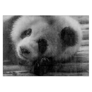 Tabla De Cortar Cutest Baby Animals   Giant Panda Bear Cub