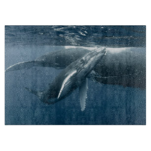 Tabla De Cortar Cutest Baby Animals Humpback Whale Calf
