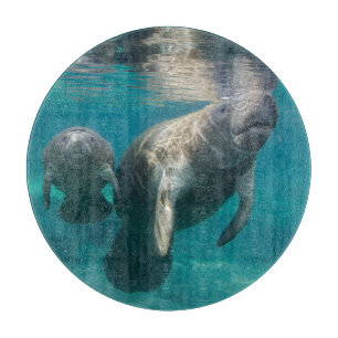 Tabla De Cortar Cutest Baby Animals   Manatee & Baby