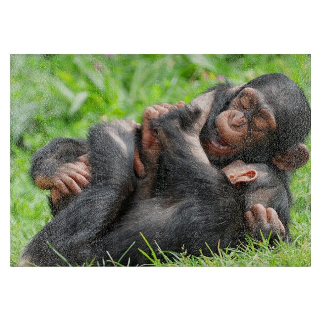 Tabla De Cortar Cutest Baby Animals | Two Young Chimpanzees (Anverso)