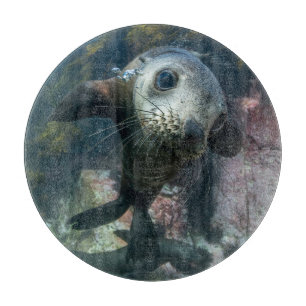 Tabla De Cortar Cutest Baby Animals   Underwater Cape Fur Seal