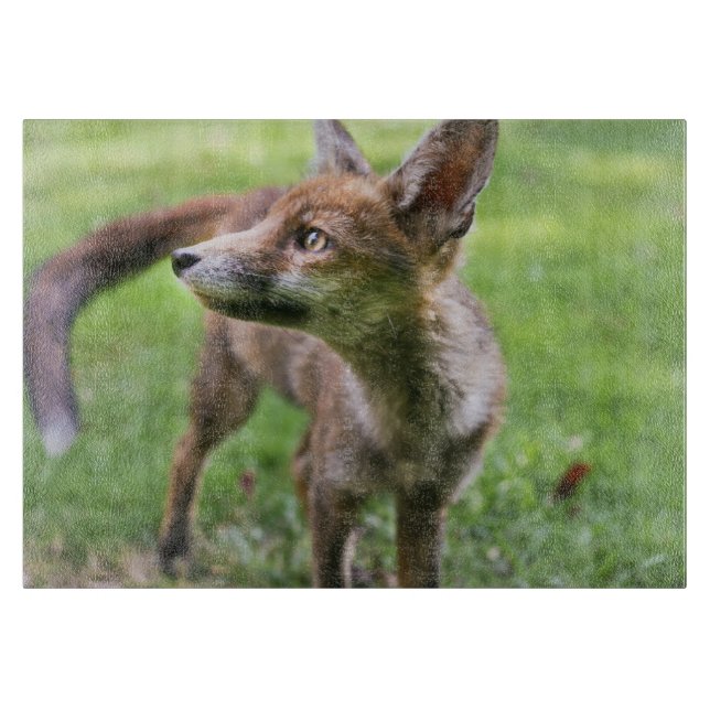 Tabla De Cortar Cutest Baby Animals | Urban Fox (Anverso)