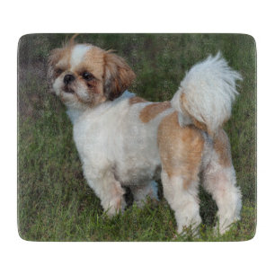 Tabla De Cortar Cutest Shih Tzu
