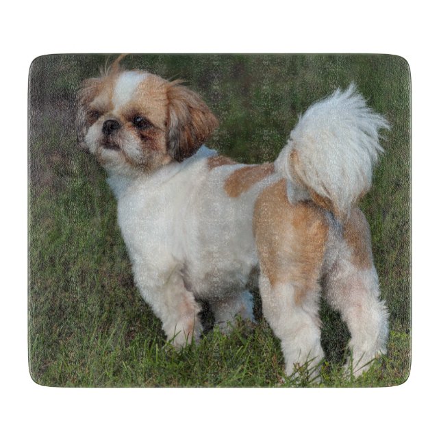 Tabla De Cortar Cutest Shih Tzu (Anverso)