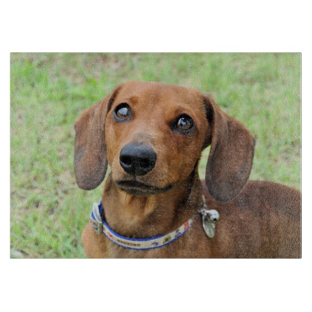 Tabla De Cortar Dachshund (Anverso)