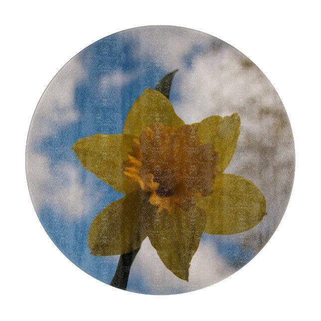 Tabla De Cortar Daffodil en primavera (Anverso)