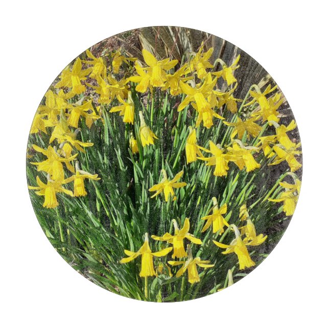Tabla De Cortar Daffodis amarillo primavera (Anverso)