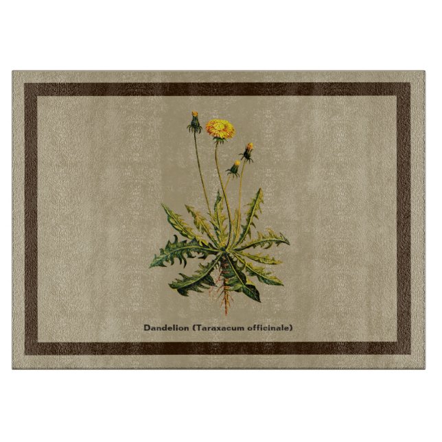 Tabla De Cortar Dandelion Sobre Papel Antiguo (Anverso)