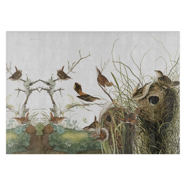 Tabla de cortar de la fauna de las jerarquías de (Anverso)