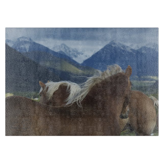 Tabla de cortar de las melenas y de las montañas (Anverso)