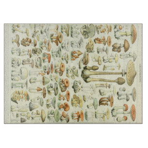 Tabla de cortar de las setas