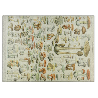 Tabla de cortar de las setas